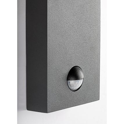 Rabalux - Vanjska zidna lampa sa senzorom pokreta 1xE27/40W/230V IP44