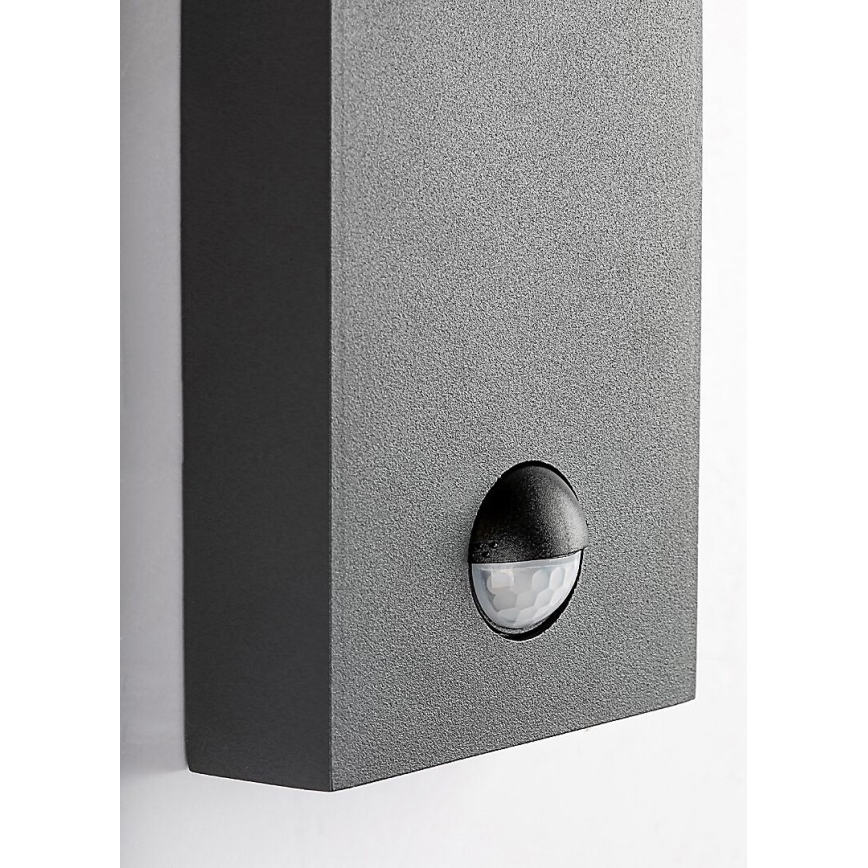 Rabalux - Vanjska zidna lampa sa senzorom pokreta 1xE27/40W/230V IP44