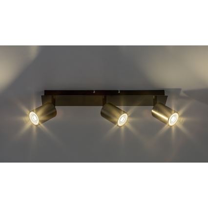 Rabalux - Reflektorska svjetiljka 3xGU10/15W/230V
