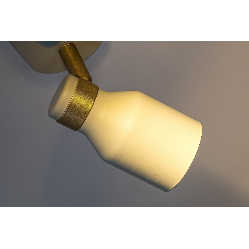 Rabalux - Spot svjetiljka 2xGU10/15W/230V