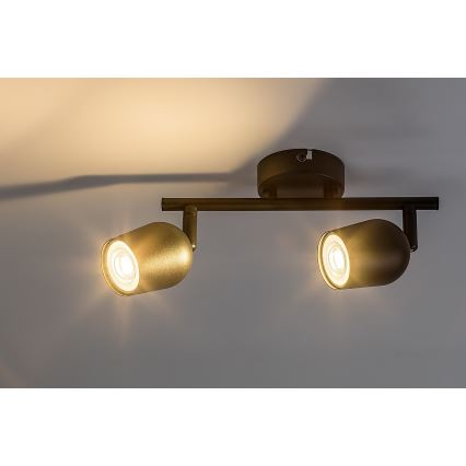 Rabalux - Stropna reflektorska svjetiljka 2xGU10/15W/230V crna