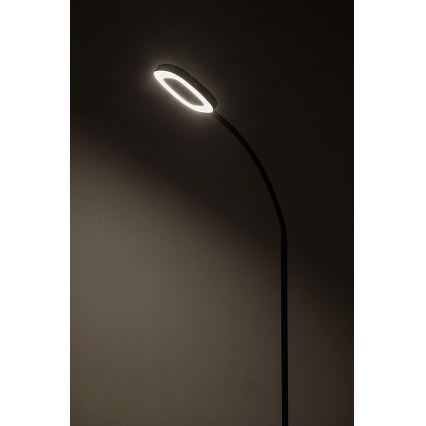 Rabalux - LED Prigušiva dodirna podna lampa LED/11W/230V 3000K