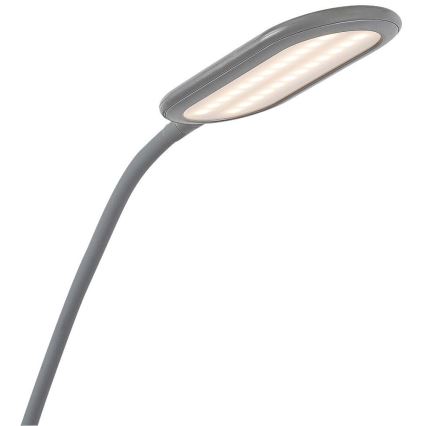 Rabalux - LED abalux - LED Prigušiva podna lampa na dodir LED/10W/230V 3000-6000K siva