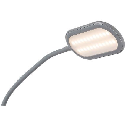 Rabalux - LED abalux - LED Prigušiva podna lampa na dodir LED/10W/230V 3000-6000K siva