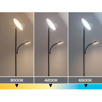 Rabalux - LED podna lampa s mogućnošću prigušivanja LED/23W/230V 3000/4200/6500 crna