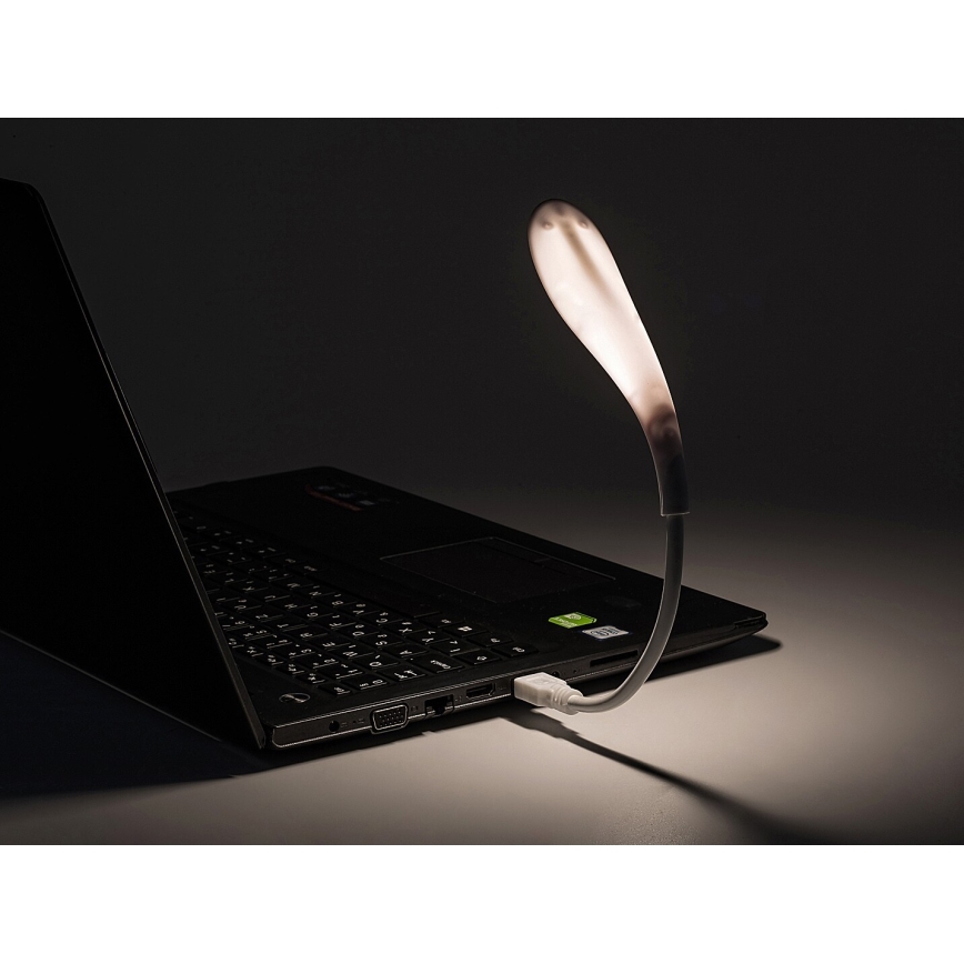 Rabalux - LED fleksibilna USB lampa LED/2W/5V