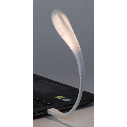 Rabalux - LED fleksibilna USB lampa LED/2W/5V