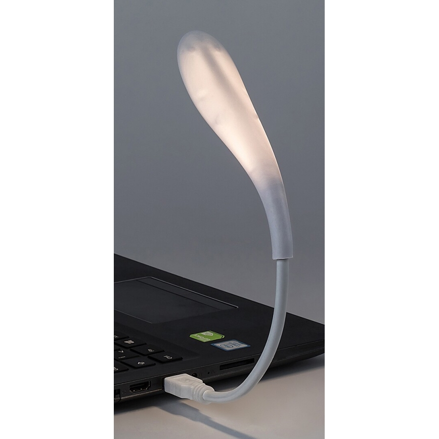 Rabalux - LED fleksibilna USB lampa LED/2W/5V