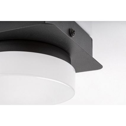 Rabalux - LED Stropna kupaonska svjetiljka LED/5W/230V IP44 4000K crna