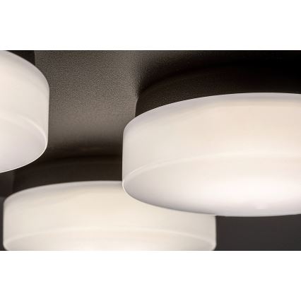Rabalux - LED Stropna kupaonska svjetiljka 4xLED/5,2W/230V IP44 crna