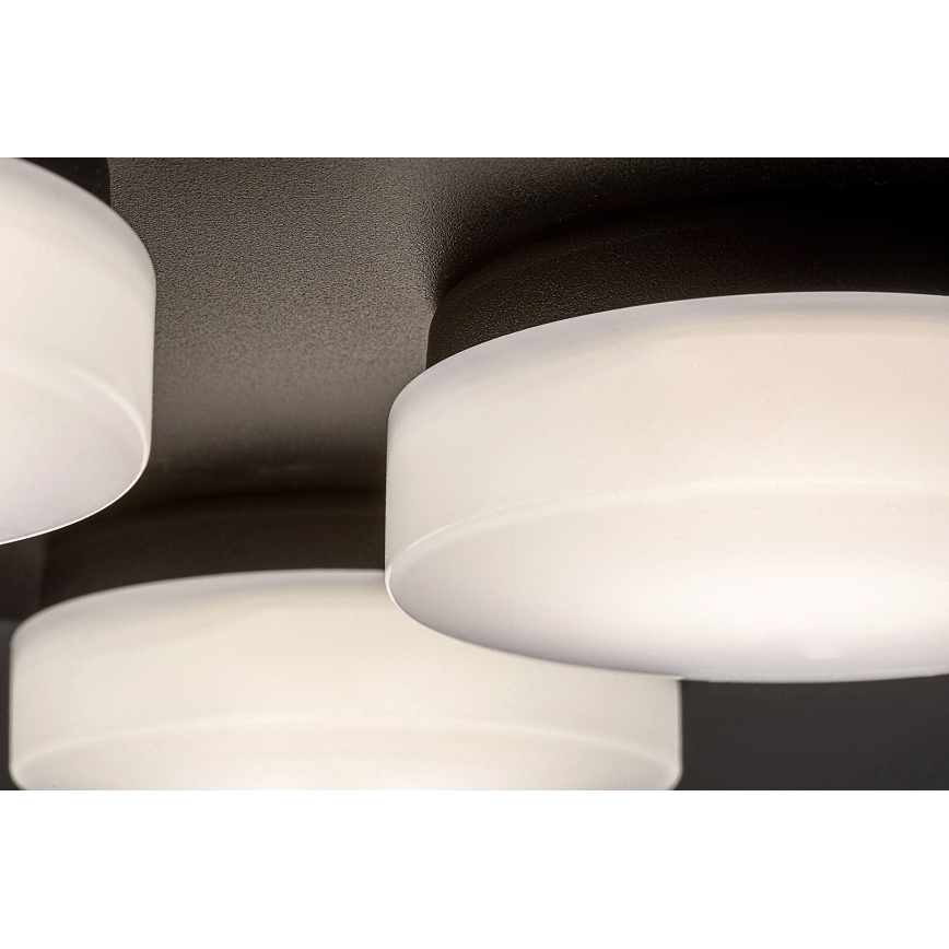 Rabalux - LED Stropna kupaonska svjetiljka 4xLED/5,2W/230V IP44 crna