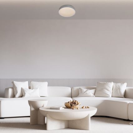 Rabalux - LED stropna svjetiljka LED/18W/230V IP44 4000K srebrna promjer 28 cm