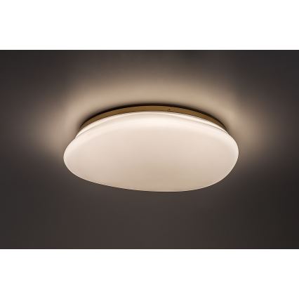 Rabalux - LED stropno svjetlo za kupaonicu LED/24W/230V IP44 pr. 41 cm