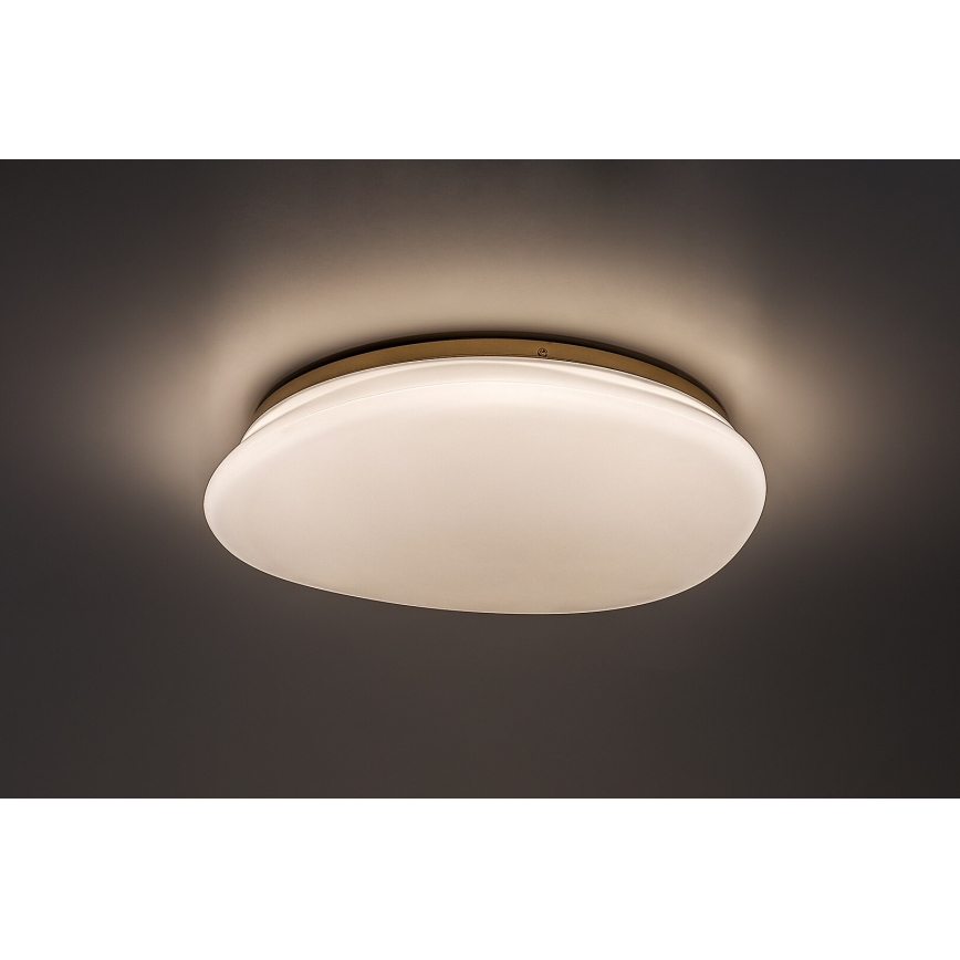 Rabalux - LED stropno svjetlo za kupaonicu LED/24W/230V IP44 pr. 41 cm