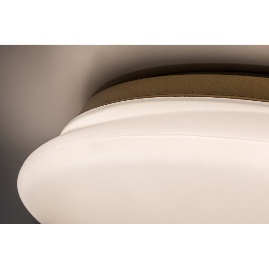 Rabalux - LED stropno svjetlo za kupaonicu LED/24W/230V IP44 pr. 41 cm