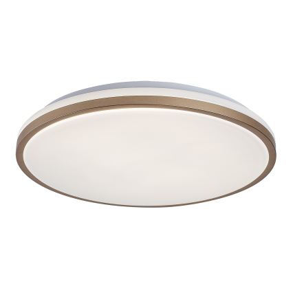 Rabalux - stropno LED svjetlo za kupaonicu 18W/230V IP44 Ø 34 cm