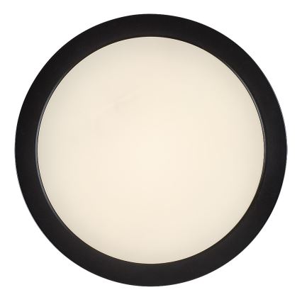 Rabalux - LED stropna svjetiljka za kupaonicu LED/24W/230V, promjer 22 cm, IP44, crna