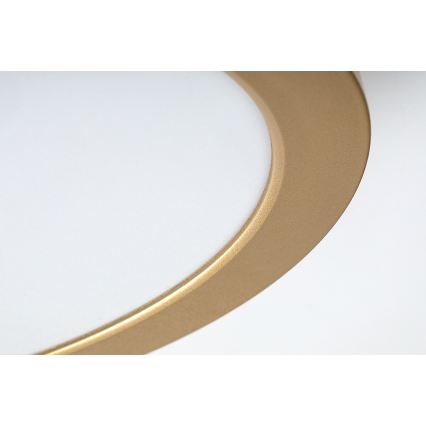 Rabalux - LED stropno svjetlo za kupaonicu LED/24W/230V Ø 22 cm IP44 zlatna