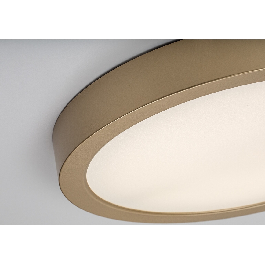 Rabalux - LED kupaonska stropna svjetiljka LED/30W/230V Ø 30 cm IP44 zlatna