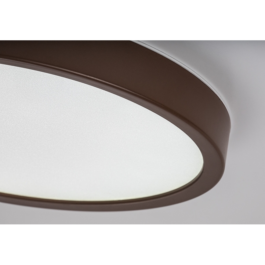 Rabalux - LED kupaonsko stropno svjetlo LED/18W/230V 3000/4000/6000K Ø 29 cm IP44 smeđe