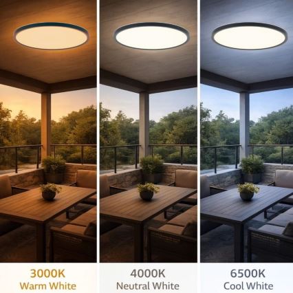 Rabalux - LED kupaonsko stropno svjetlo LED/24W/230V 3000/4000/6000K Ø 40 cm IP44 crno