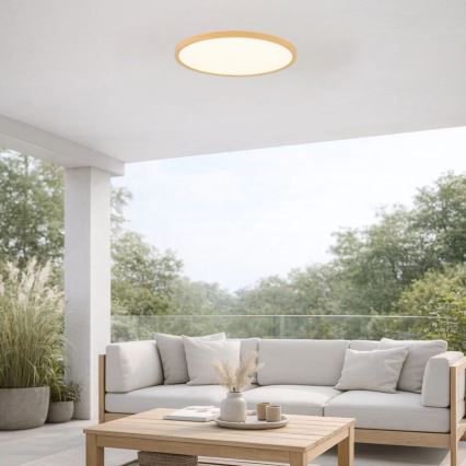 Rabalux - LED stropno svjetlo za kupaonicu LED/24W/230V 3000/4000/6000K Ø 40 cm IP44 bež