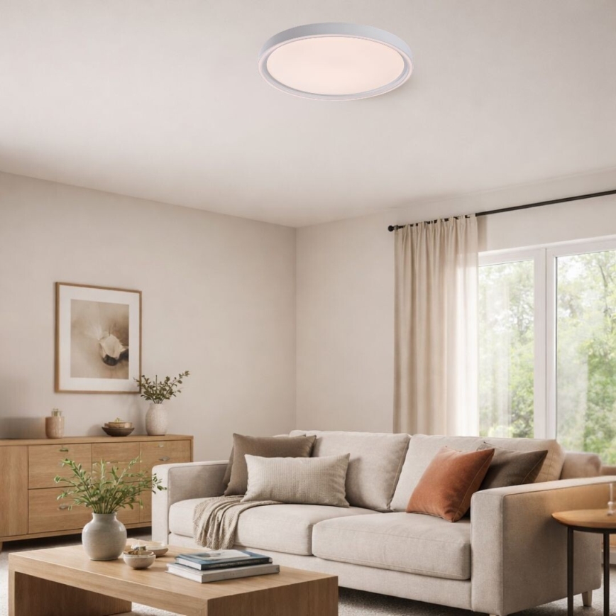 Rabalux - LED prigušivo stropno svjetlo LED/31W/230V IP40 3000-6500K pr. 41,5 cm + daljinski upravljač
