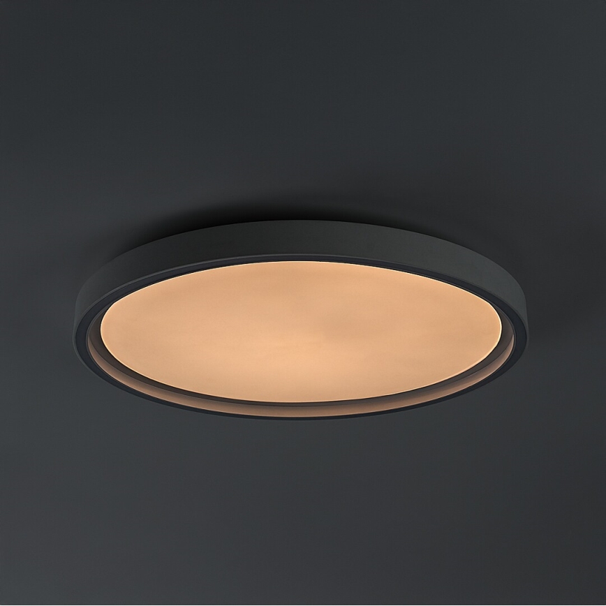 Rabalux - LED prigušivo stropno svjetlo LED/31W/230V IP40 3000-6500K pr. 41,5 cm + daljinski upravljač