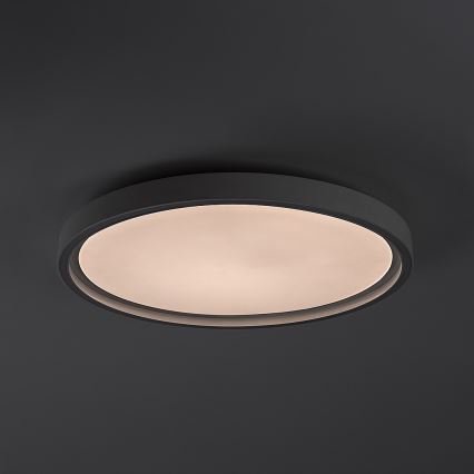 Rabalux - LED prigušivo stropno svjetlo LED/31W/230V IP40 3000-6500K pr. 41,5 cm + daljinski upravljač