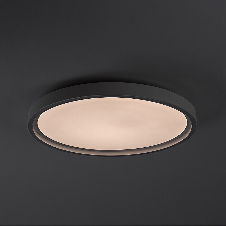 Rabalux - LED prigušivo stropno svjetlo LED/31W/230V IP40 3000-6500K pr. 41,5 cm + daljinski upravljač