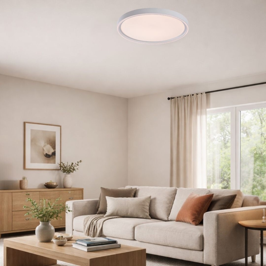 Rabalux - LED stropna svjetiljka s mogućnošću prigušivanja LED/54W/230V IP40 3000-6500K Ø 52 cm + daljinski upravljač