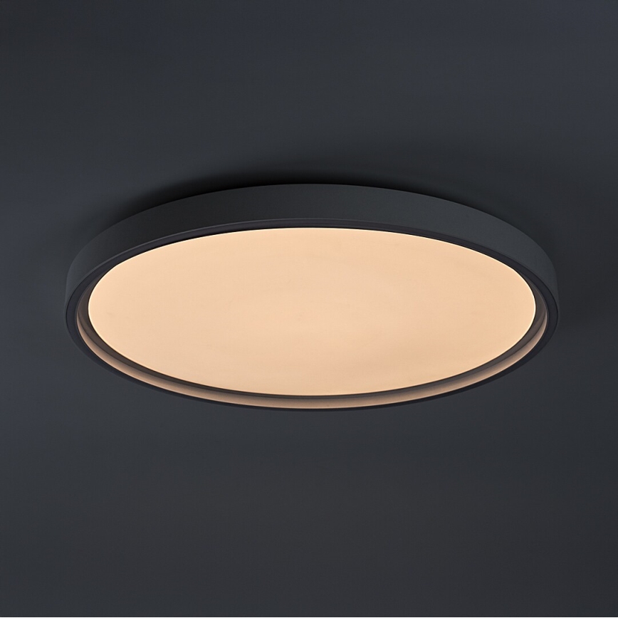 Rabalux - LED stropna svjetiljka s mogućnošću prigušivanja LED/54W/230V IP40 3000-6500K Ø 52 cm + daljinski upravljač