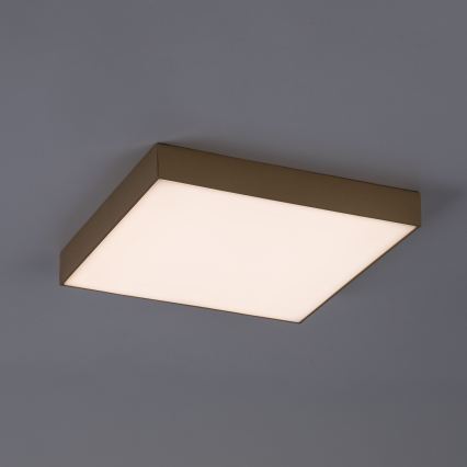 Rabalux - LED Kupaonsko stropno svjetlo LED/24W/230V 2800/4000/6000K IP44