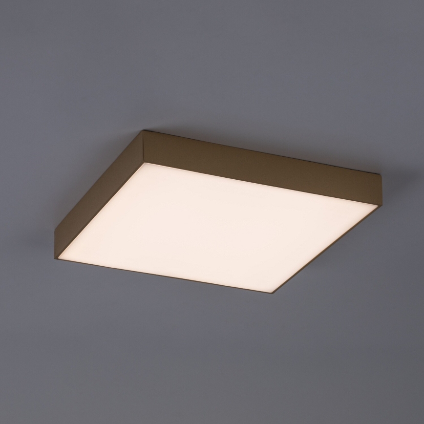 Rabalux - LED Kupaonsko stropno svjetlo LED/24W/230V 2800/4000/6000K IP44