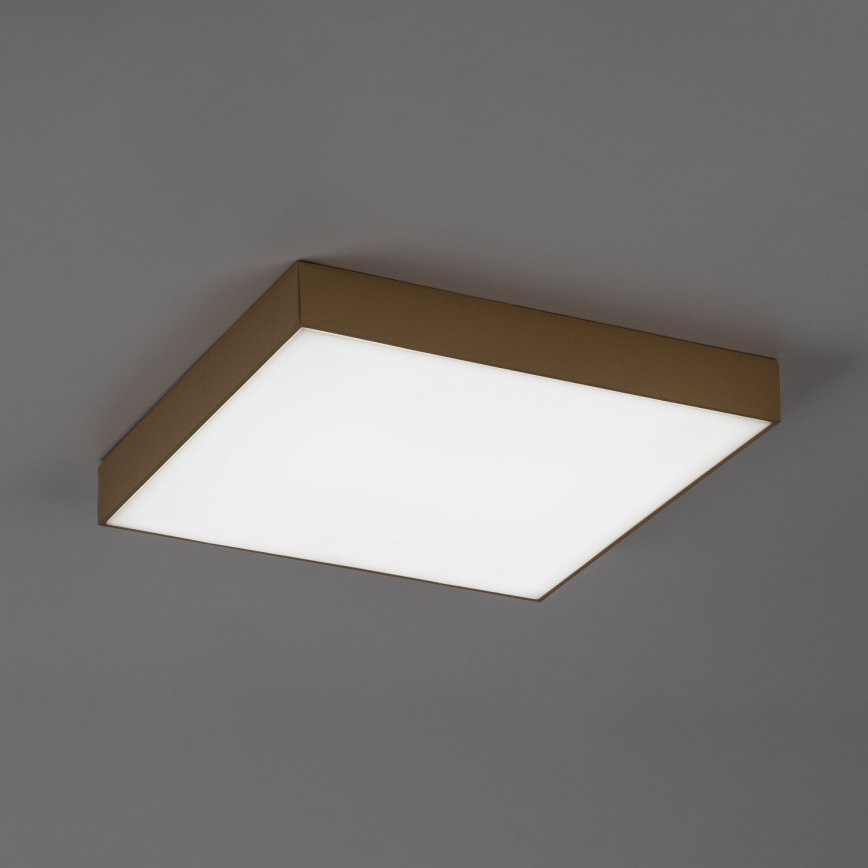 Rabalux - LED Kupaonsko stropno svjetlo LED/24W/230V 2800/4000/6000K IP44
