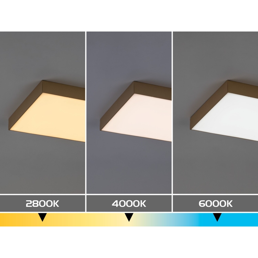 Rabalux - LED Kupaonsko stropno svjetlo LED/24W/230V 2800/4000/6000K IP44