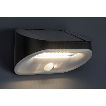 Rabalux - LED Solarna svjetiljka sa senzorom LED/3,2W/3,7V IP44