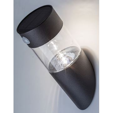 Rabalux - LED Solarna svjetiljka sa senzorom LED/1,5W/3,7V IP44
