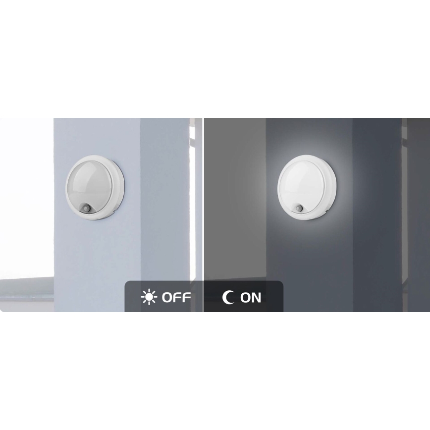 Rabalux - LED Vanjska zidna svjetiljka sa senzorom LED/15W/230V IP54