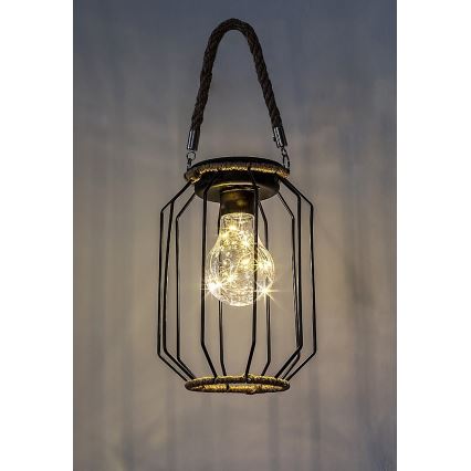 Rabalux - LED Solarna svjetiljka LED/0,2W/1,2V IP44
