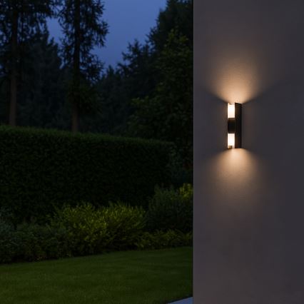Rabalux - LED Vanjsko zidno svjetlo LED/13W/230V IP65 antracit