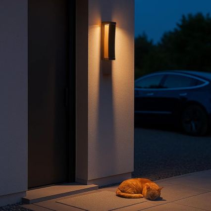 Rabalux - LED vanjsko zidno svjetlo LED/13W/230V IP65 smeđe