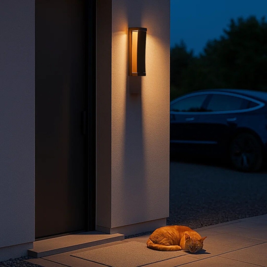 Rabalux - LED vanjsko zidno svjetlo LED/13W/230V IP65 smeđe