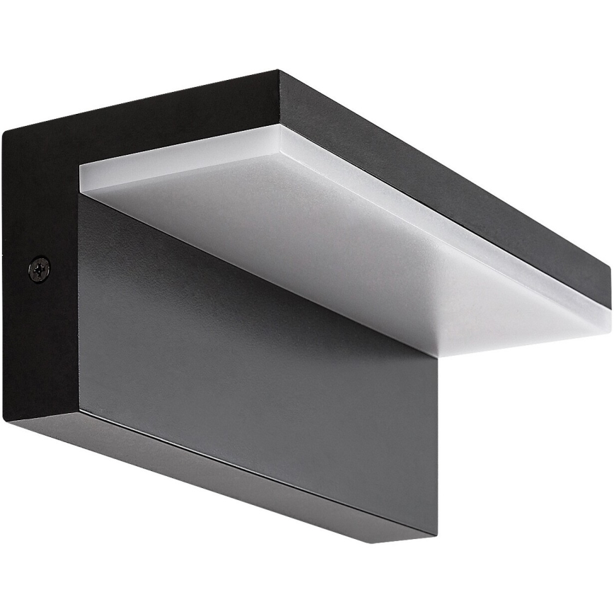 Rabalux - LED Vanjska zidna svjetiljka LED/10W/230V IP54 crna