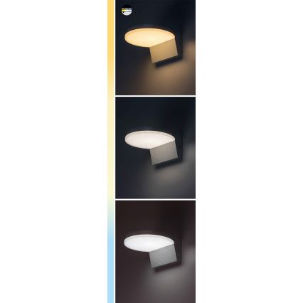 Rabalux - LED vanjsko zidno svjetlo LED/9W/230V 2700/4000/6500K IP54 bijela
