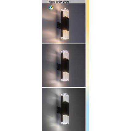 Rabalux - LED vanjsko zidno svjetlo LED/7W/230V 2700/4000/6000K IP54