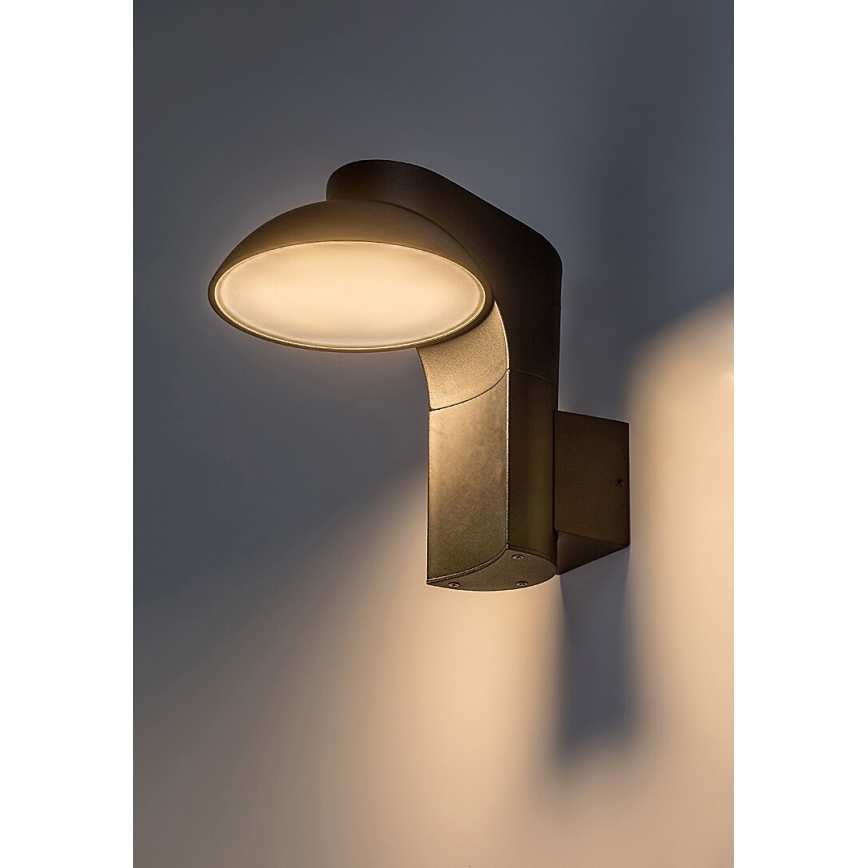 Rabalux - LED Vanjska zidna svjetiljka LED/12W/230V IP54