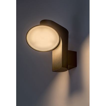 Rabalux - LED Vanjska zidna svjetiljka LED/12W/230V IP54