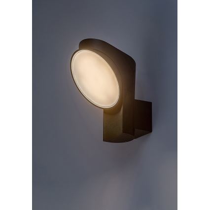 Rabalux - LED Vanjska zidna svjetiljka LED/12W/230V IP54