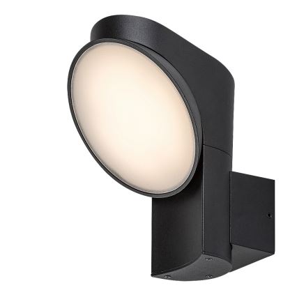 Rabalux - LED Vanjska zidna svjetiljka LED/12W/230V IP54
